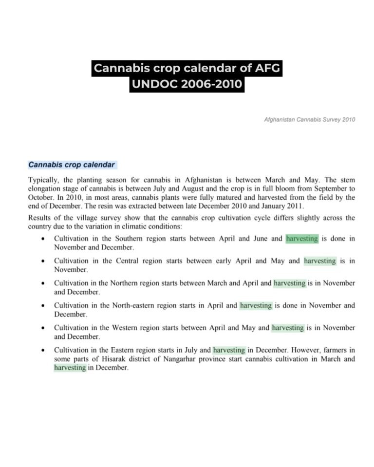 cannabis crop calendar of AFG