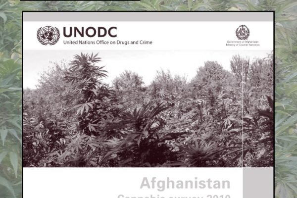 UNDOC Afghanistan Cannabis survey